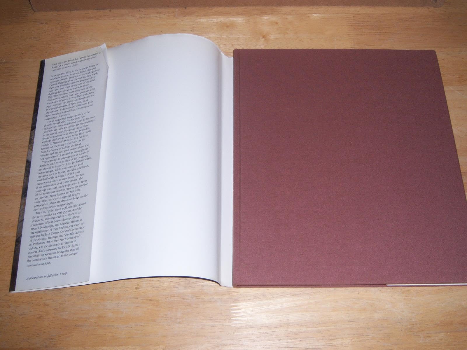 Dawn of Art: The Chauvet Cave: The Oldest Known Paintings in the World Jean-Marie Chauvet; Eliette Brunel Deschamps and Christian Hillaire - PT02