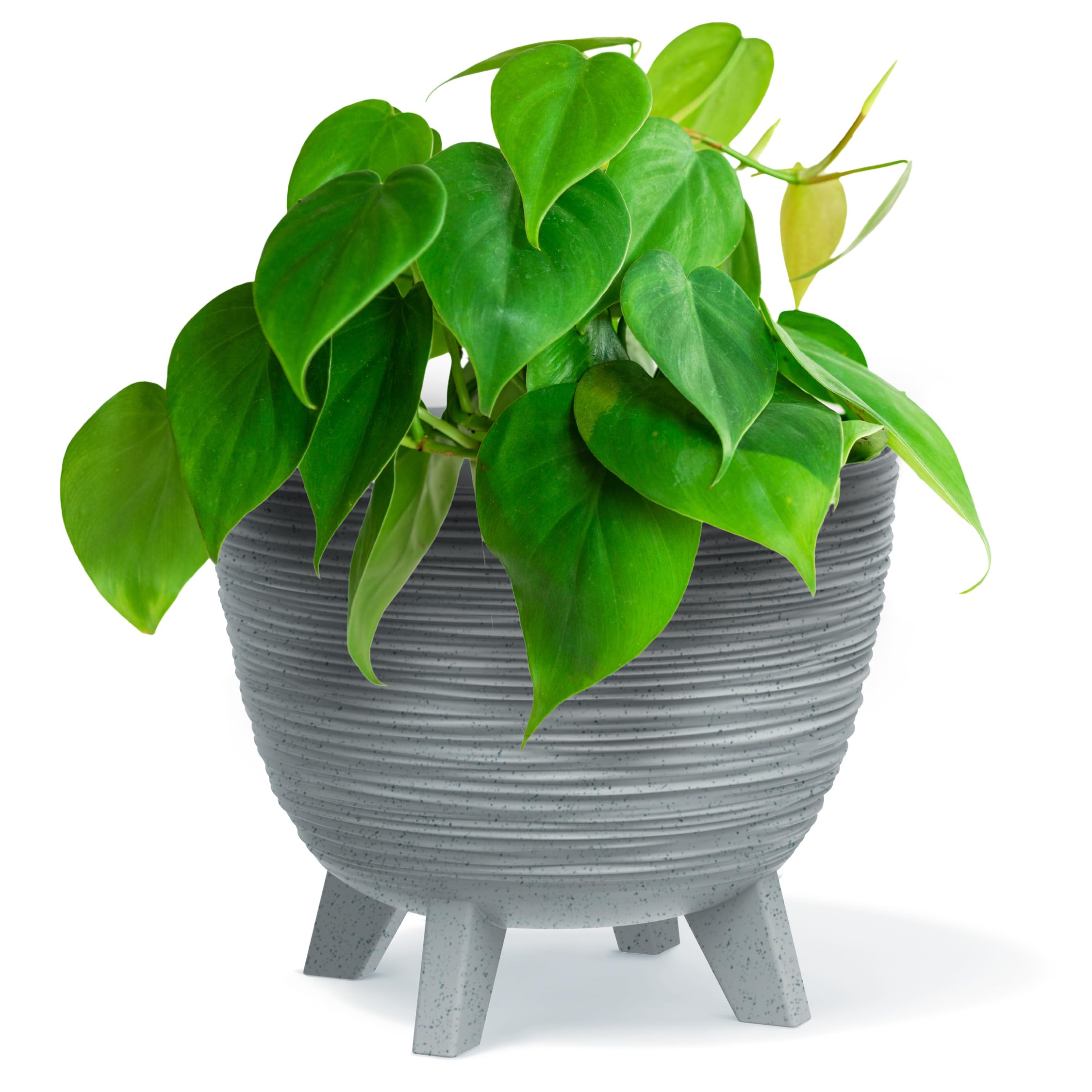 B2C Bowl Planter Plant Pot with Legs Oval Flower Modern Decorative FURU Indoor 4 Colours Modern Elegant Plqastic Matt Finish Textured Home Office Balcony Lightweight (Grey, 23.6cm)