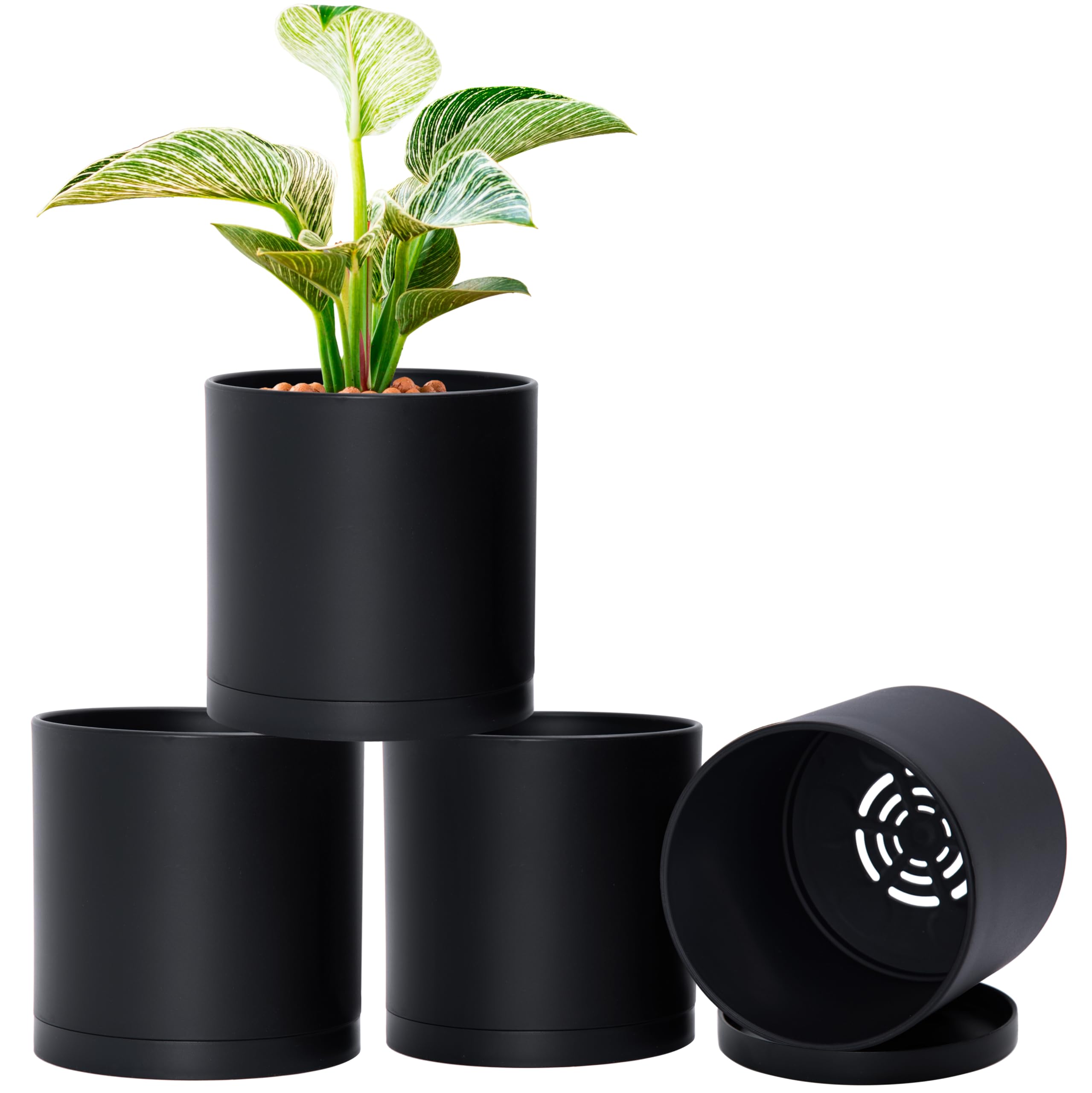 Amazon.com : D'vine Dev 4 Pack 6 Inch Modern Plastic Plant Pots
