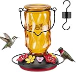 Kingsyard Colibri en verre pour l'extérieur Suspension, 20 oz Les mangeoires de colibris avec 9 Ports d'alimentation de la preuve d'abeilles & Mouton fourmi, facile à nettoyer et à recharger (rouge)