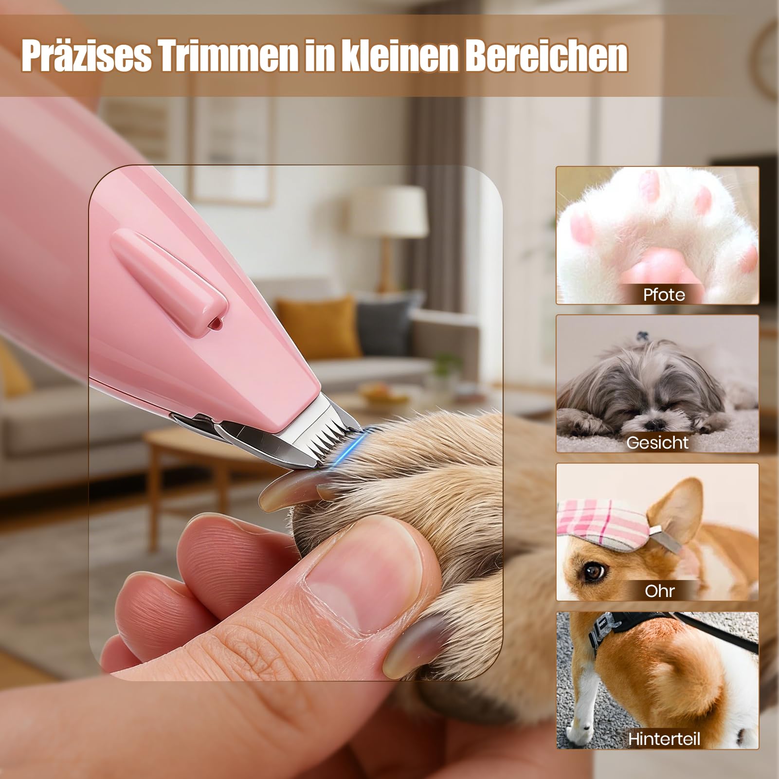 Tondeuse à pattes pour chien, tondeuse à pattes et rasoir 4 en 1, étanche IPx7, affichage LCD, tondeuse à pattes de chien