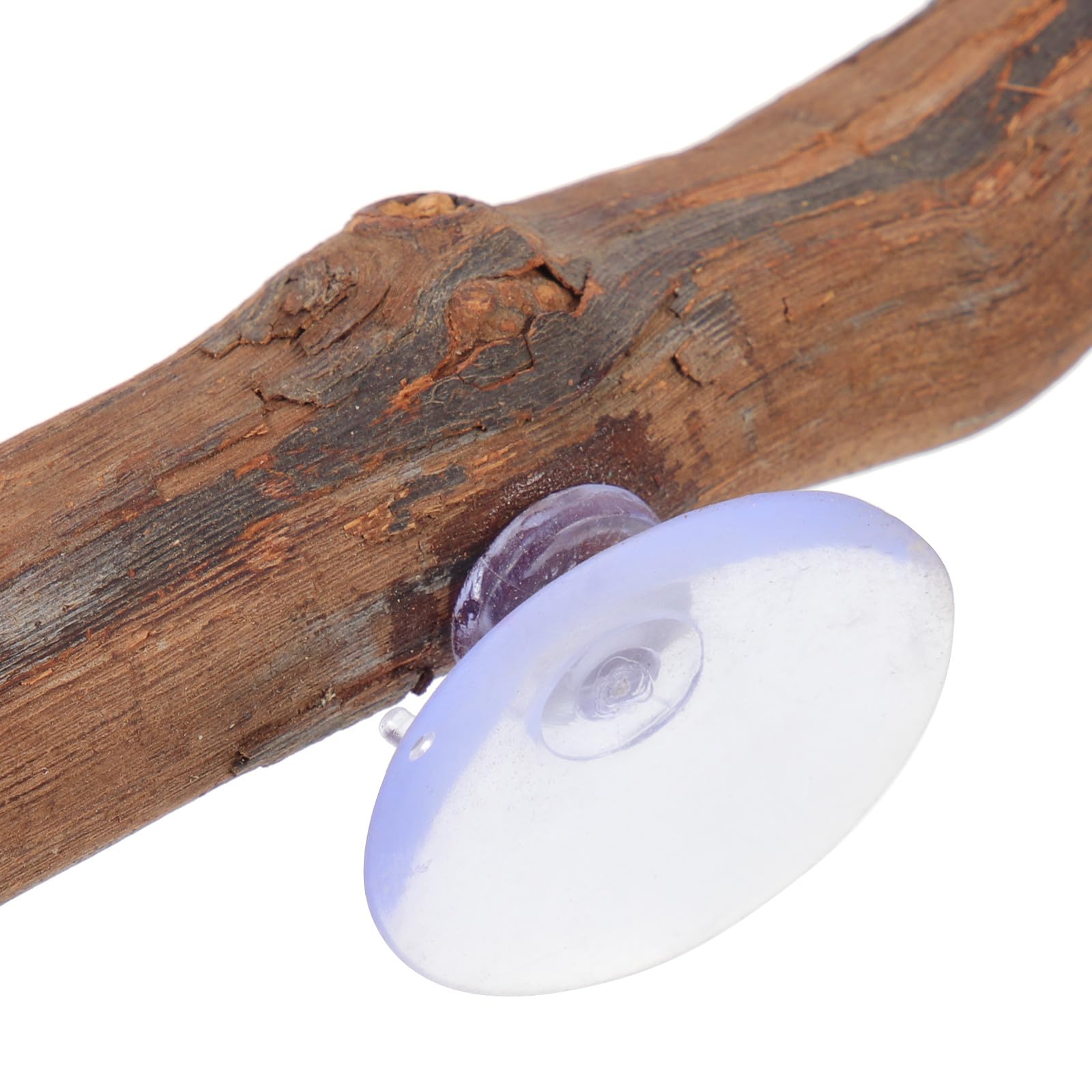 Ciieeo Rama de Madera Juguete de Escalada Seguro y Redondo para Reptiles Ventosa para Dragón Barbudo y Reptiles en Terrarios