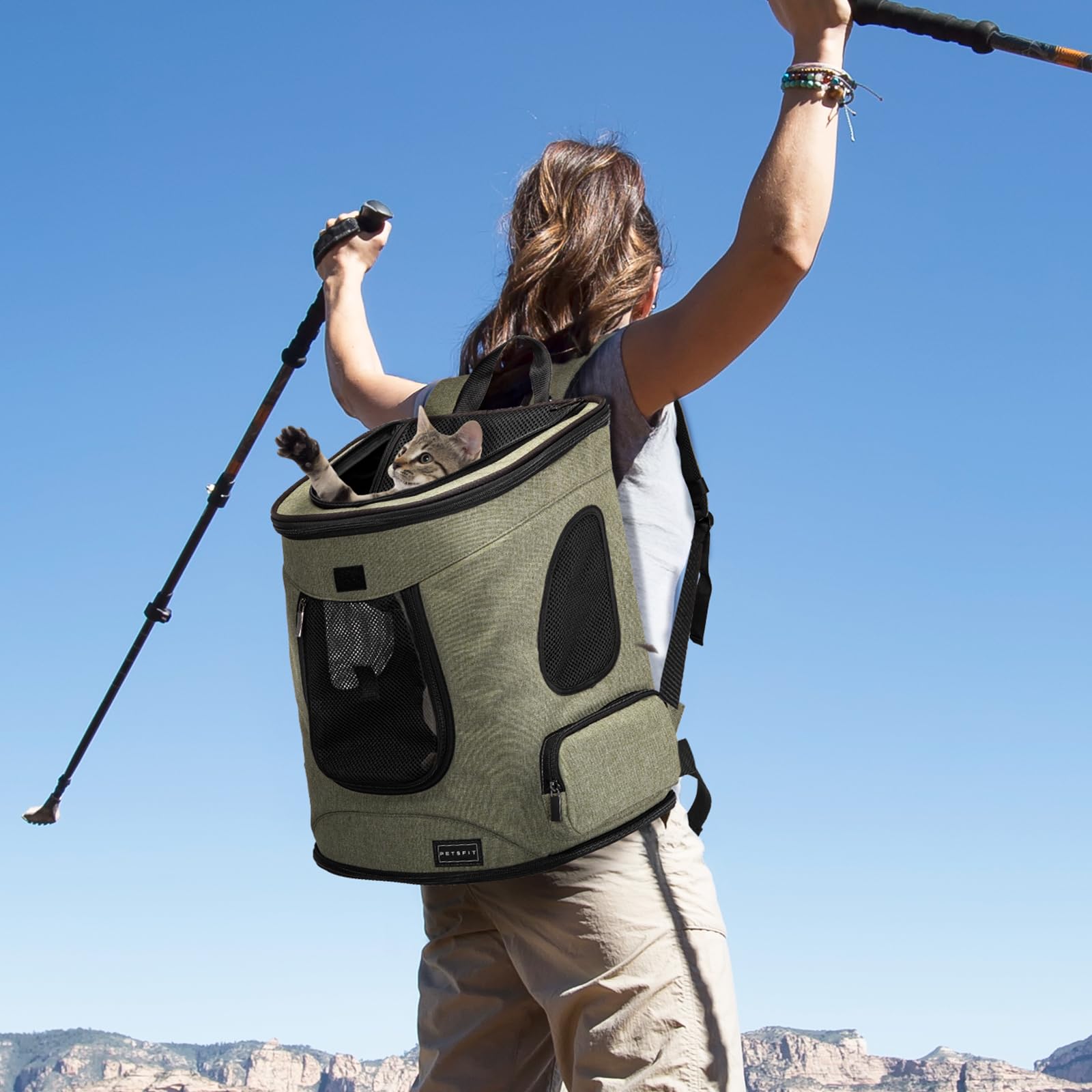 Petsfit Mochila para Mascotas con Ventana de Malla, Mochila de Transporte para Perros con Dos Correas Delanteras/traseras, Bolsa de Viaje para Animales pequeños, 43 cm x 32 cm x 29 cm