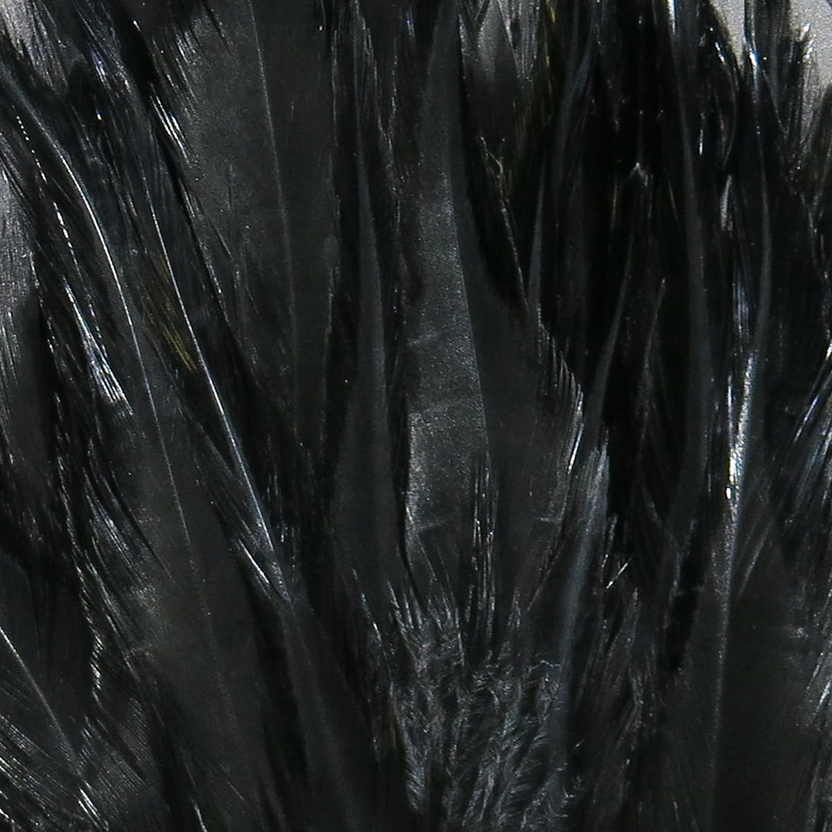 product_img5