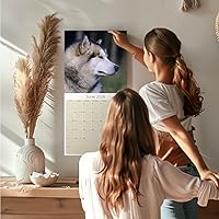 Vista 974 de Razas de Perros 2017