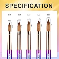 Vista 7 de 2 pinceles de uñas – Liner & Kolinsky Art Brush tamaño #12 para aplicación acrílica, mango resistente, herramientas de diseño ovalado para manicura