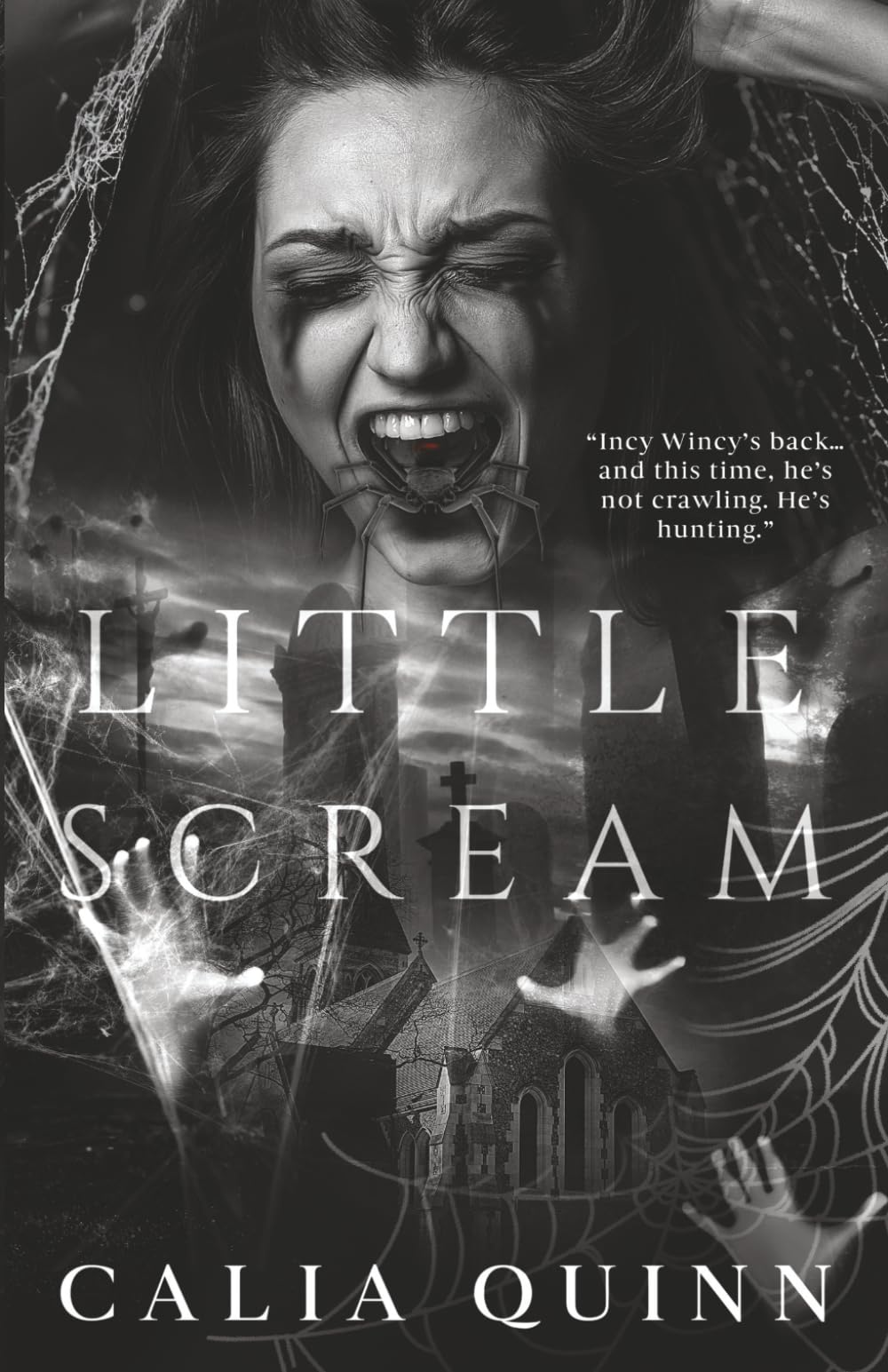 Little Scream: A Dark Stalker Romance: 2 (Little Nightmare Duet)