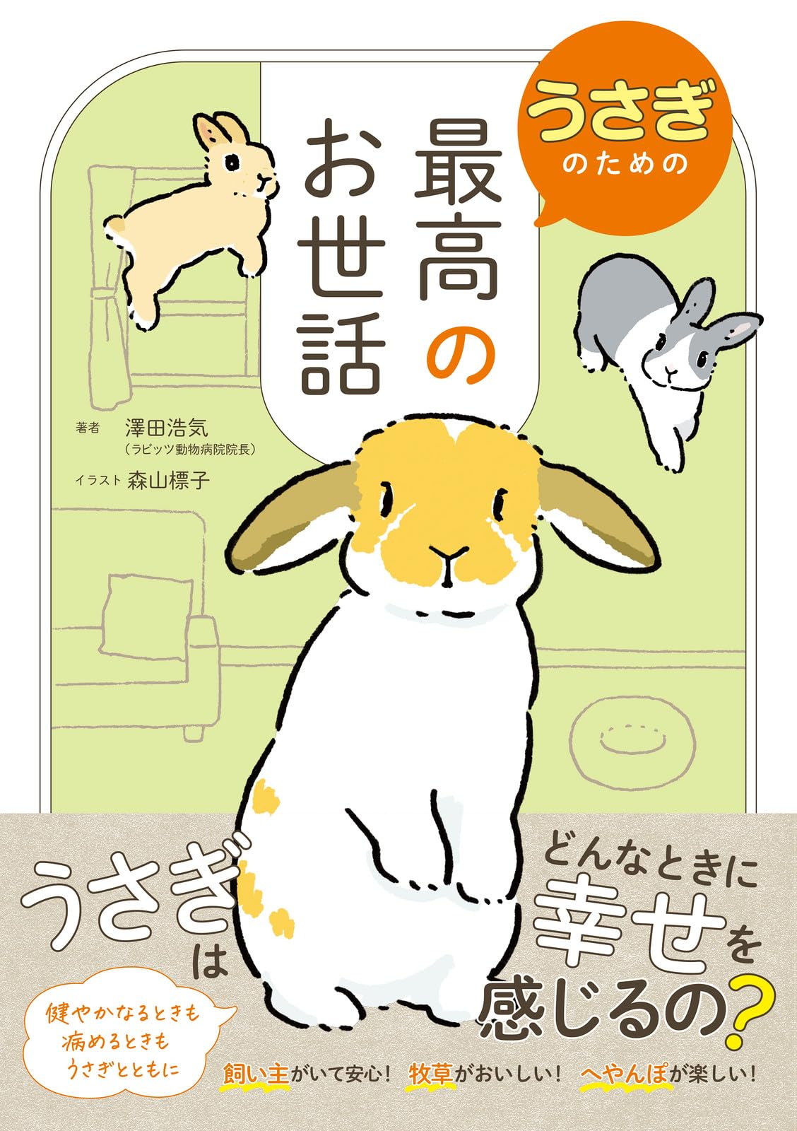サワダモコ　2015 うさぎにヘッドホン　原画　実作 世界“1作品“ Amazon.co.jp: うさぎのための最高のお世話 : 澤田浩気, 森山標