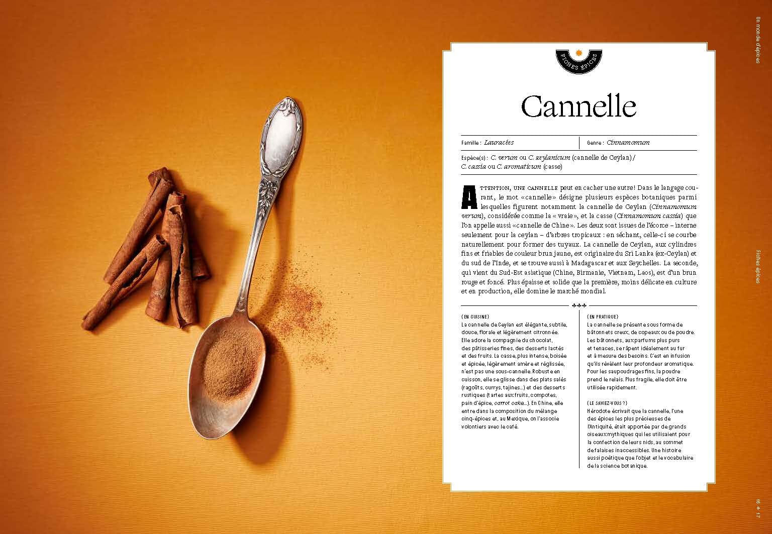 Un monde d'épices: Les connaître, les mélanger & 100 recettes pour les cuisiner