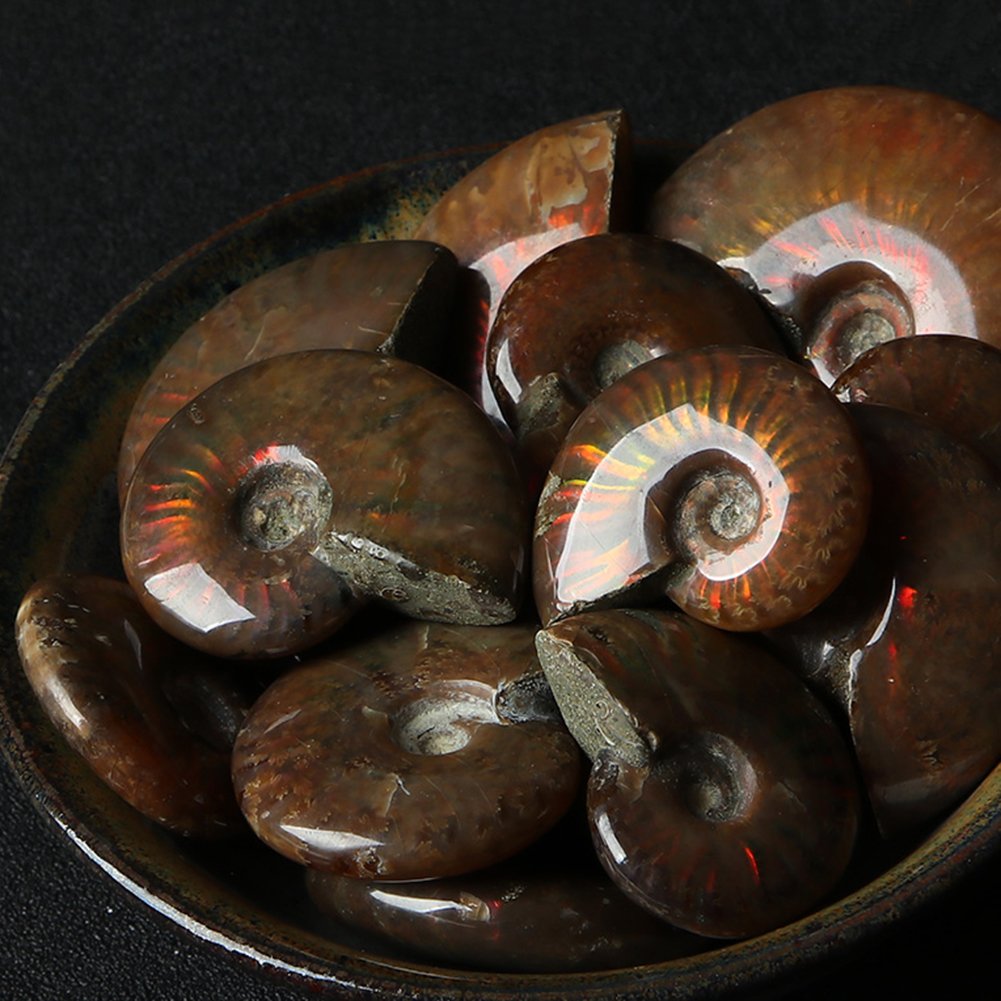 AITELEI Lucky Fortune Espiral Ammolita Natural Amonita Fósil Pure Natural Artesanía Piezas de Caracola, Piedra Fósil Jugada en Palmas