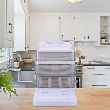 Generic Electric Steamer for Food Preparation