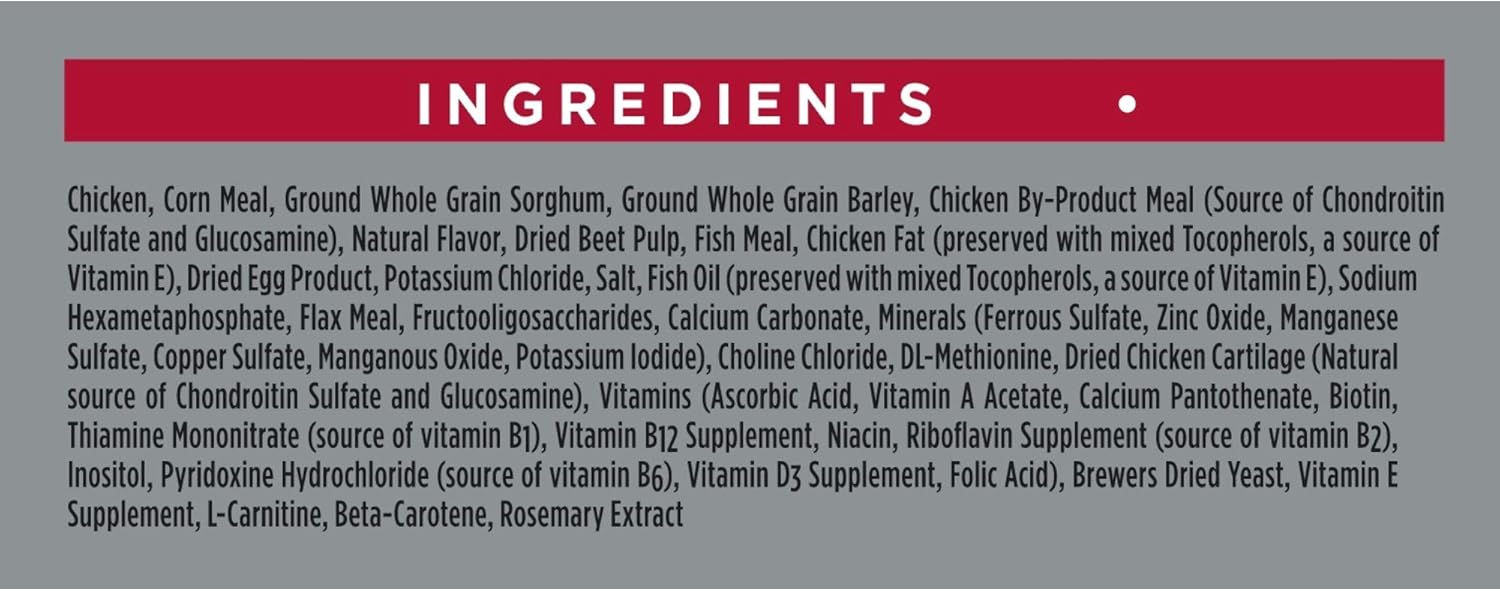 eukanuba breed specific labrador