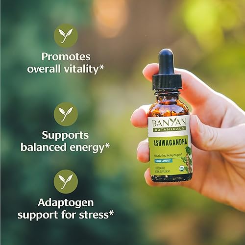 Miniatura 2 de Banyan Botanicals Extracto líquido orgánico de Ashwagandha – Gotas de Ashwagandha de hierbas de acción rápida – para una energía equilibrada y