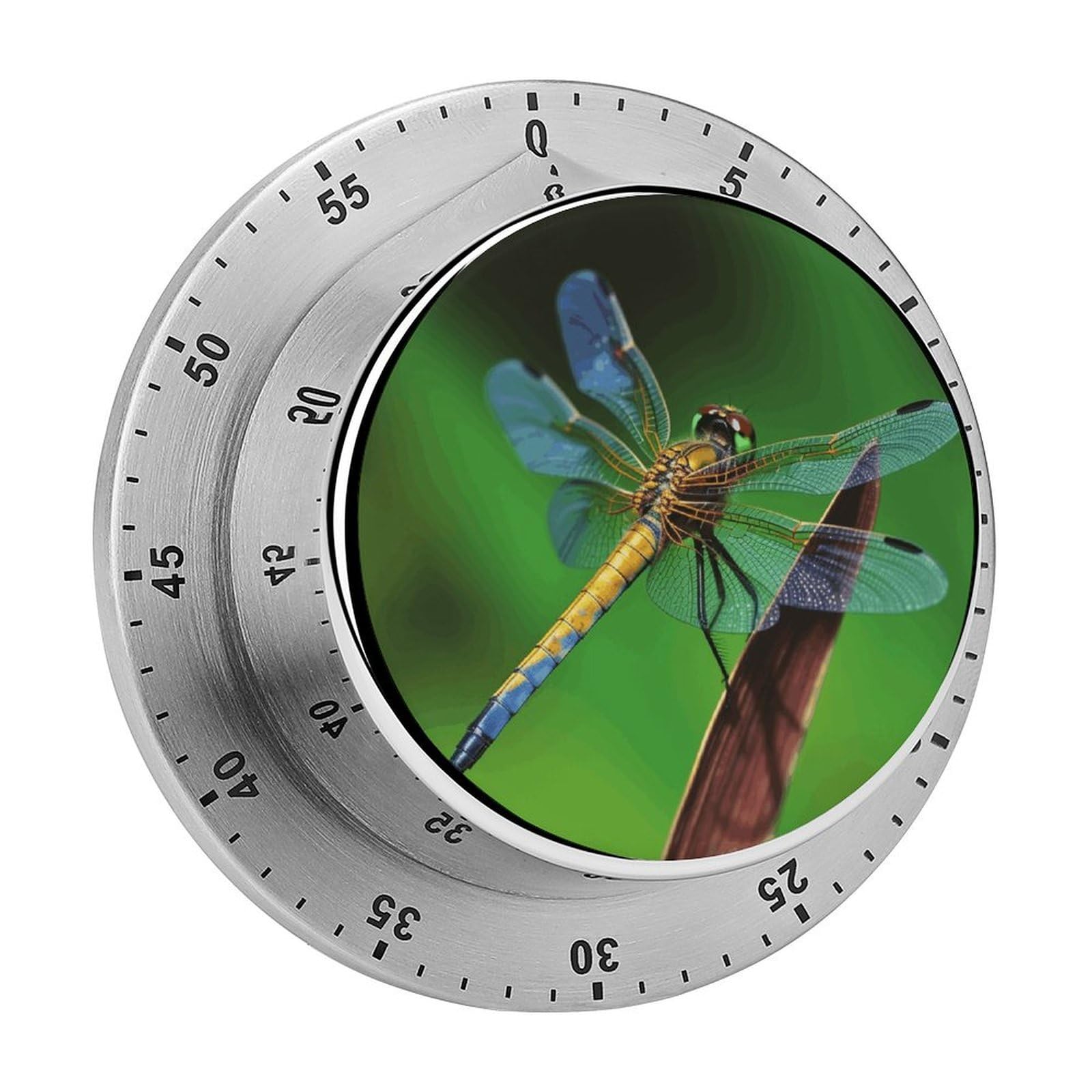 Dragonfly Timer Desk Productivity Teacher Supplies Kitchen Magnetic Countdown Mechanical Timer for Cooking, Egg, Teacher, Exercise, Oven.