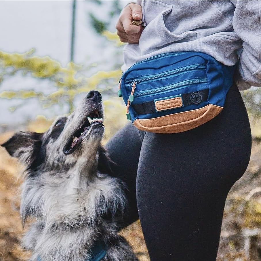 Image of Wilderdog Utility Fanny Pack stores Treats, Balls, Keys in 3 Pockets with adjustable strap and Poop Bag dispenser (Pacific Blue)