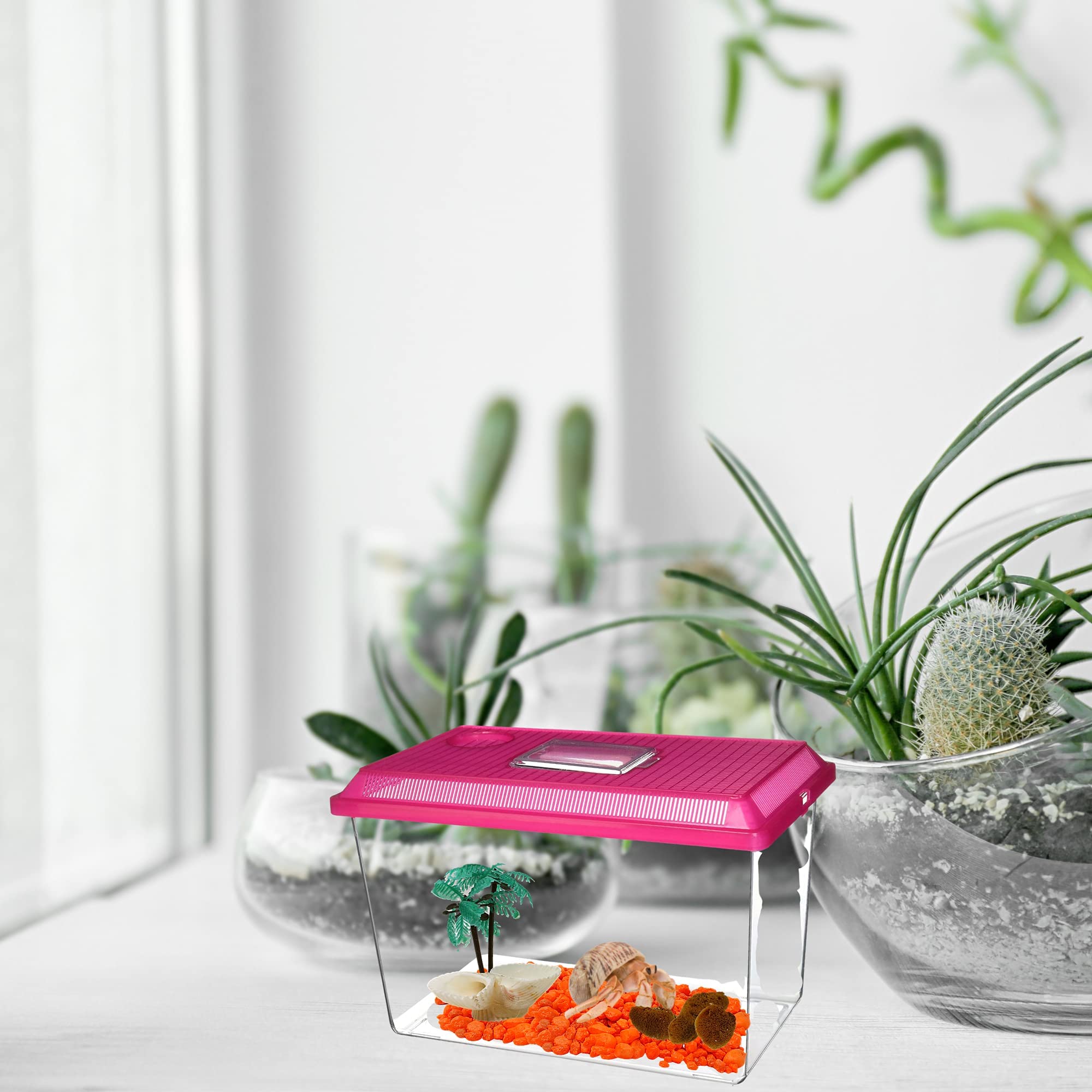 バッグ STANDARD SUPPLY for Hermit Club Amazon.com: Needzo Ultimate All in One Hermit Crab Cage