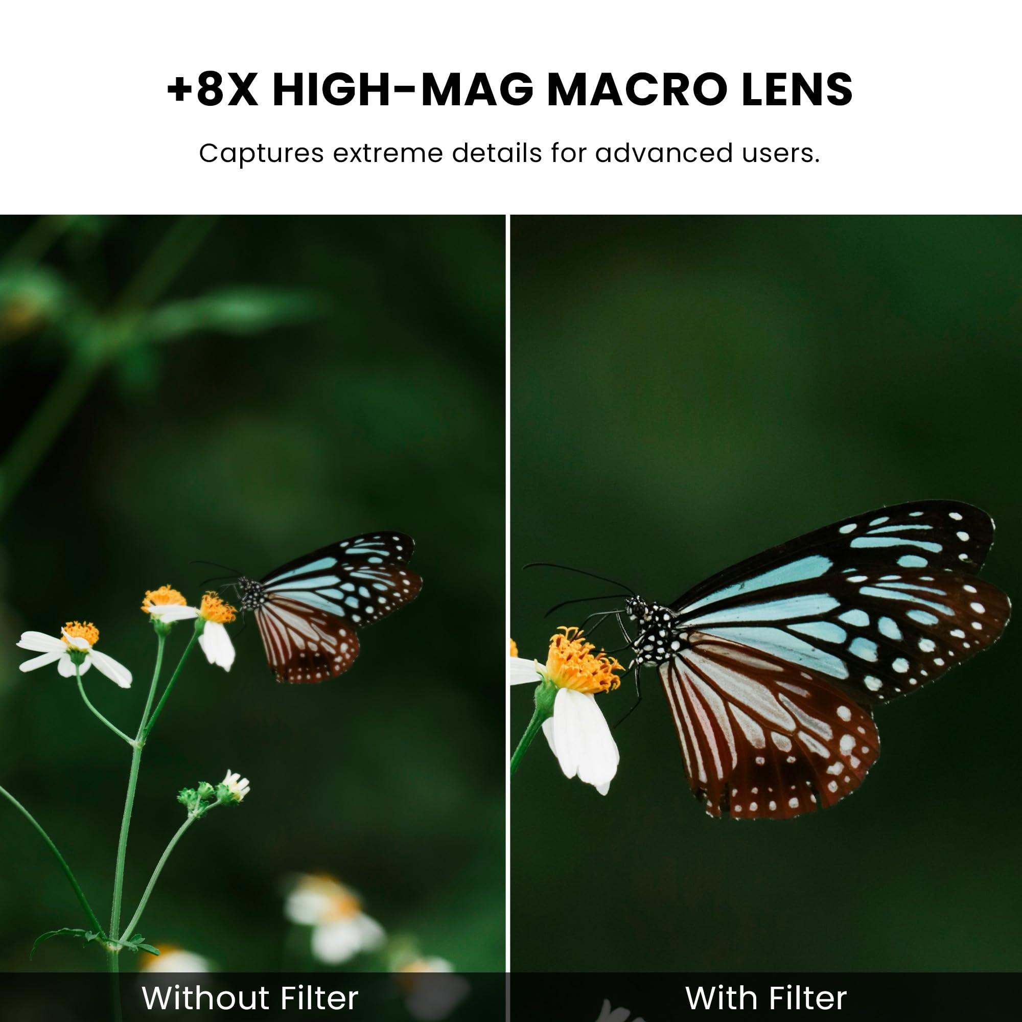 Walking Way Close-Up Makrofilter +8 – Detailfilter für Extreme Nahaufnahmen, HD-Glas, 82mm Schraubfilter – für Technik, Miniaturen & Feinheiten