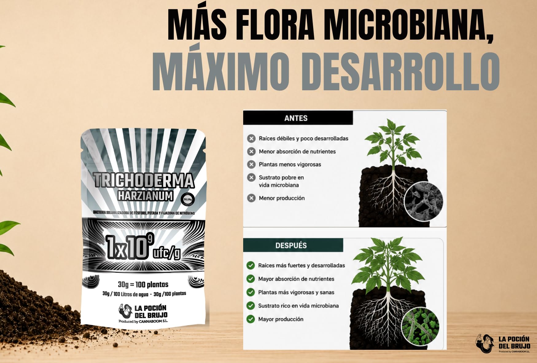 Trichoderma Harzianum = 1x10⁹ ufc/g | Bacterias de la rizosfera 1x10³ ufc/g (100p) - "Cannaboom" | Defensa radicular avanzada | Más vigor y raíces sanas | Microbiología útil de alto rendimiento