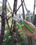 WORKPRO 8.5" Bypass Pruning Shears, Professional Garden Clippers with Forged Steel Blades, Gardening Scissors with Safety Lock, Ergonomic Hand Pruner for Flowers, Plants and Branches
