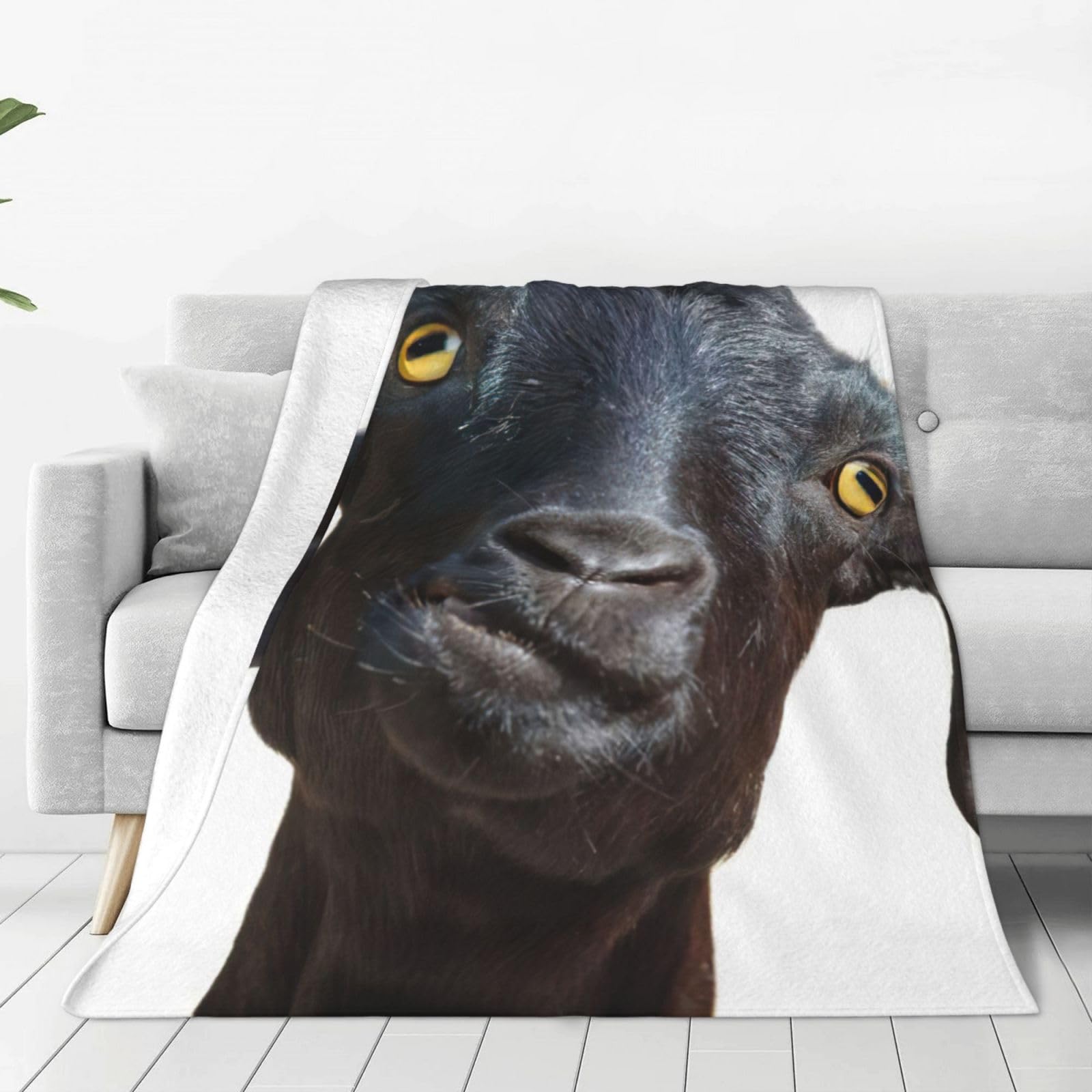 Couverture polaire chèvre noire flanelle légère pour lit froid et canapé