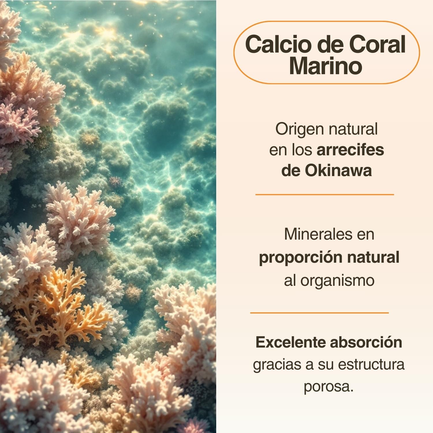 Calcio y Vitamina D Estado Puro | Calcio Coral Marino (1000 mg) + Vitamina D3 (400 UI) + Citrato de Magnesio (400 mg) | Huesos y Articulaciones Fuertes | 120 Cápsulas Vegetales de Tongil