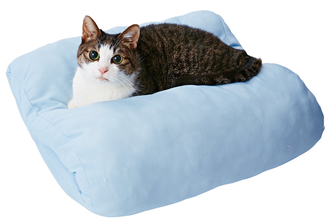 Amazon | ペティオ (Petio) ひんやりロールベッド ペット用