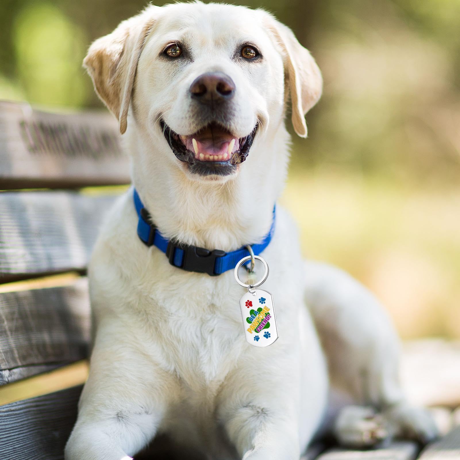 Targhette identificative per animali, Targhette per cani personalizzate