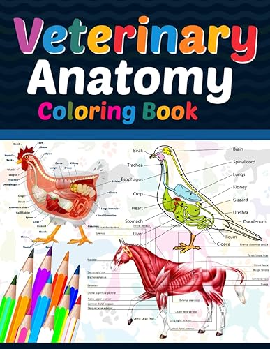 Veterinary Anatomy Coloring Book: Veterinary Anatomy Coloring Book For Medical, High School Students. Anatomy Coloring Book for kids. Veterinary ... Anatomy Student Self Test Coloring Workbook.