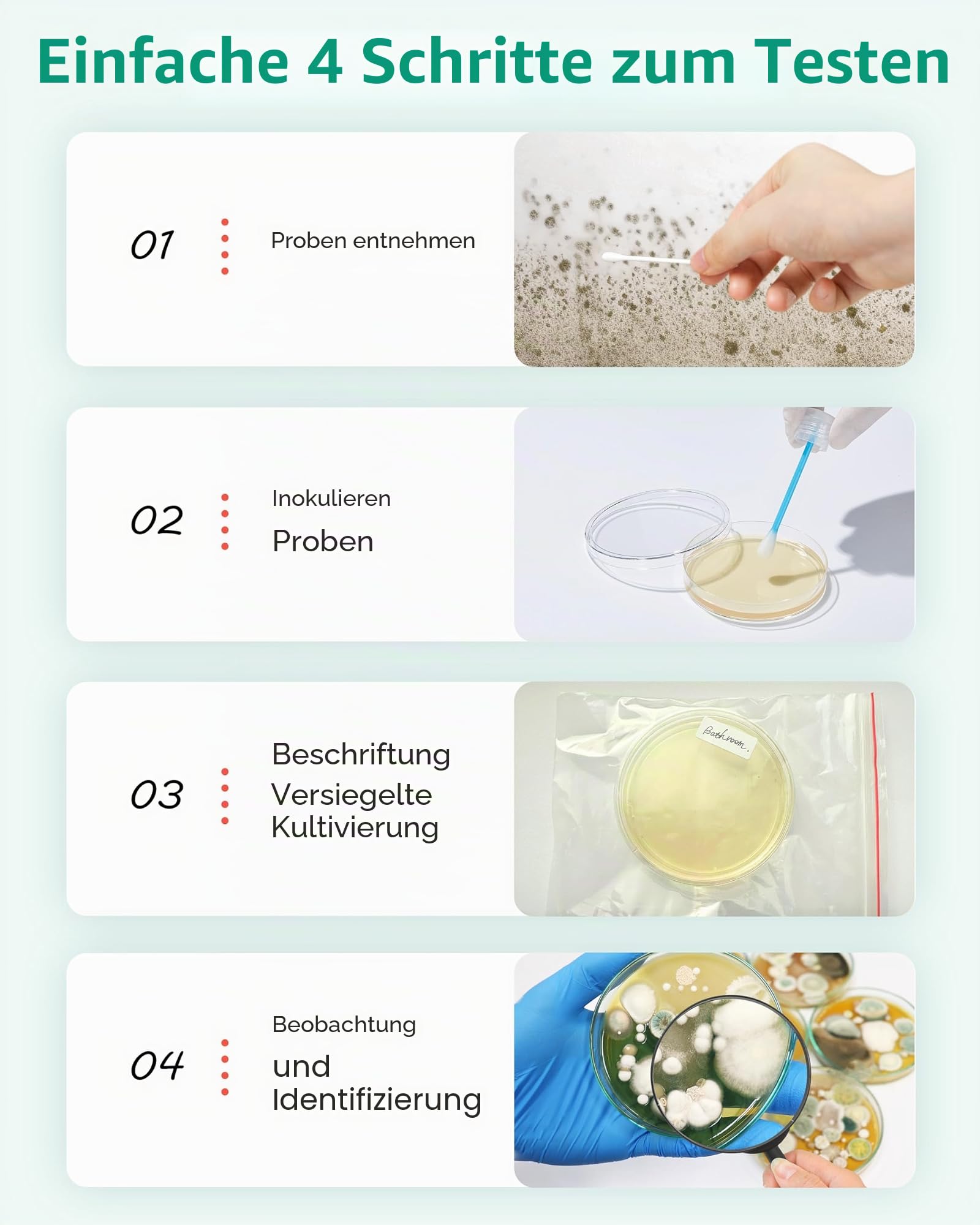 Mold Test-Set für Zuhause – 4 einfache Erkennungstests für HVAC, Oberflächen & Innenluftqualität, DIY Black Mold-Detektor-Testing-Kit zu Hause, mit detaillierter Identifikationshilfe & 5 x Magnifying