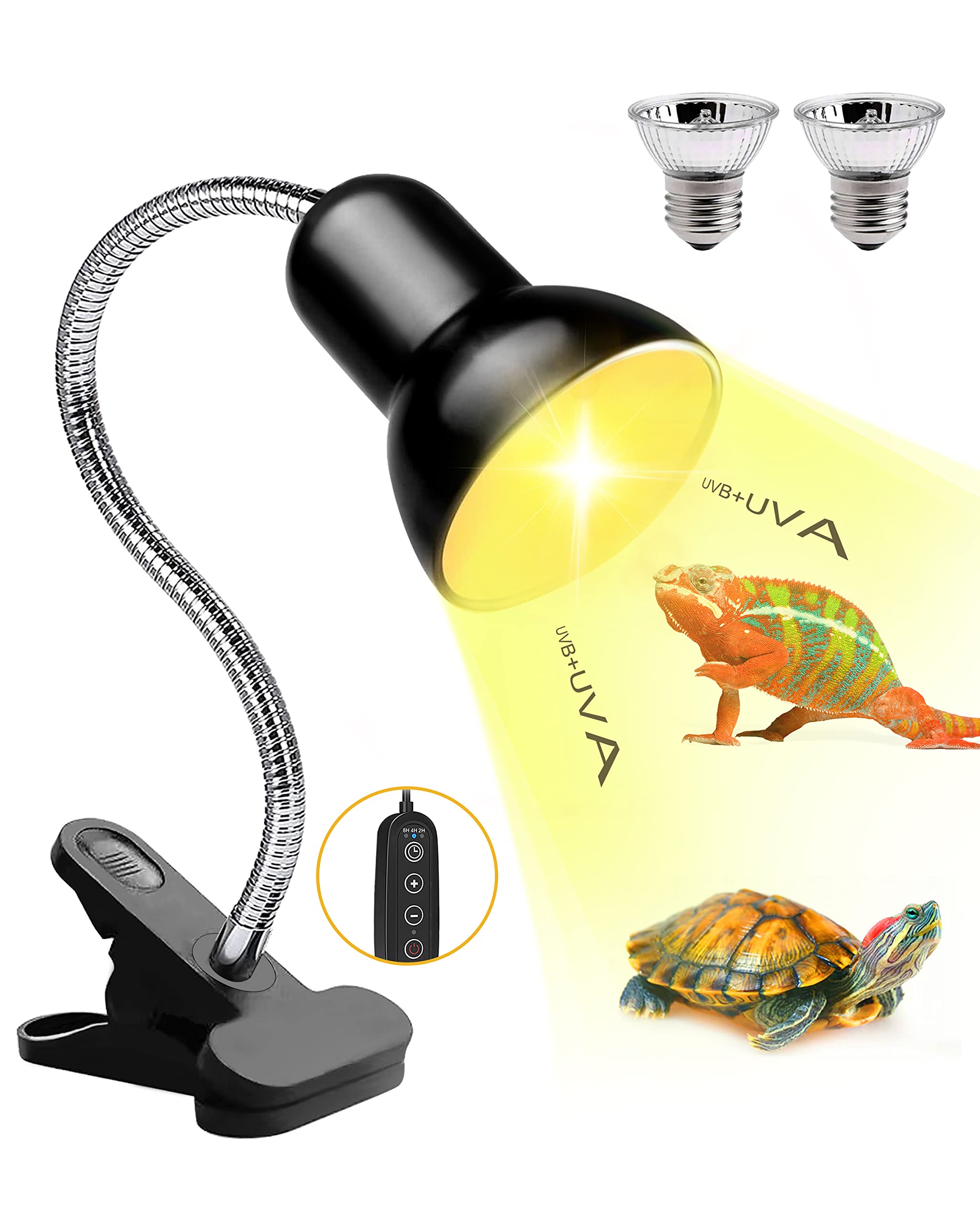 bearded dragon light timer