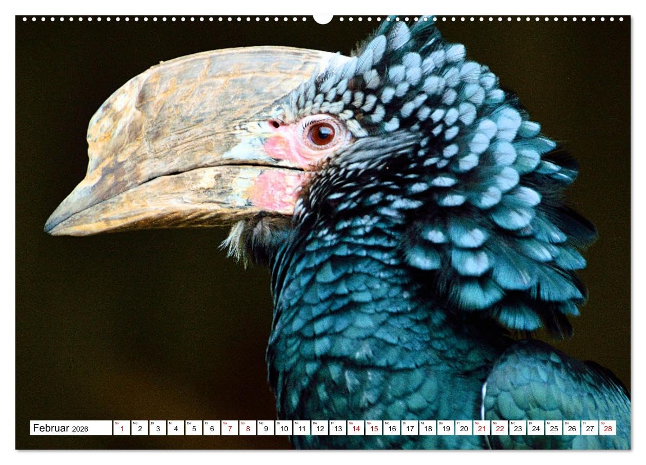 Schräge Vögel in Szene gesetzt (hochwertiger Premium Wandkalender 2026 DIN A2 quer), Kunstdruck in Hochglanz: Faszinierende Bilder skurriler und ... rund um den Globus (CALVENDO Tiere)
