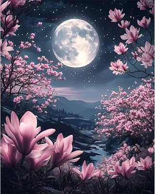 Pujeknm Moon Landscape Paint by Numbers