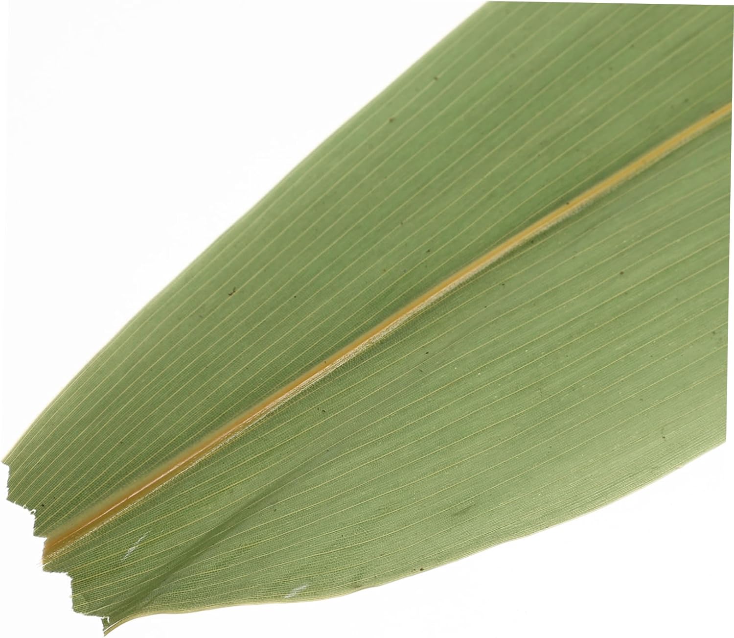 Levemolo 100pcs Japanese Sushi Decorative Leaves Bamboo Leaves for Sushi Making Mat Platter Decor