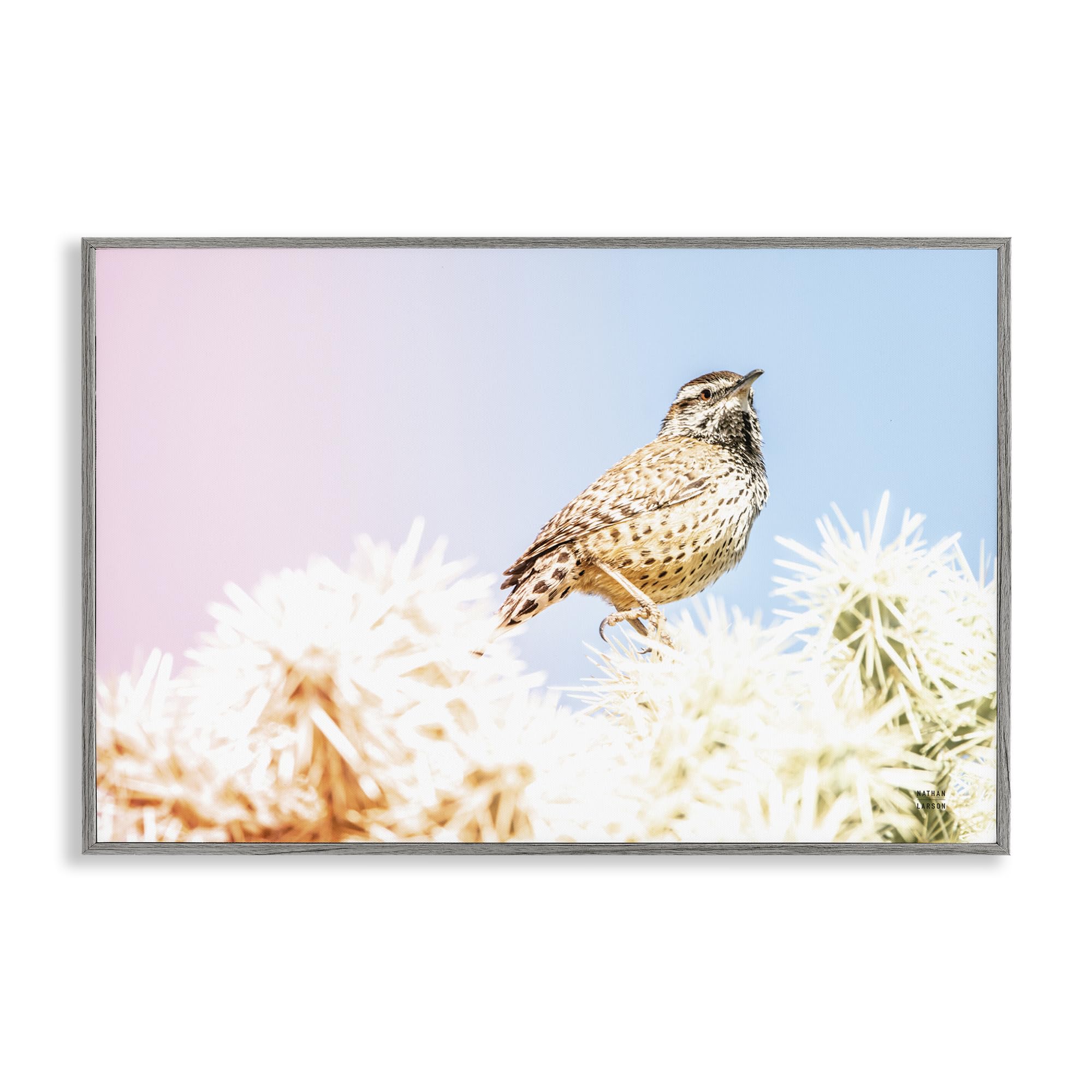 Stupell Industries 'Desert Song Bird', Framed Giclee Art, Gray, 24 x 16