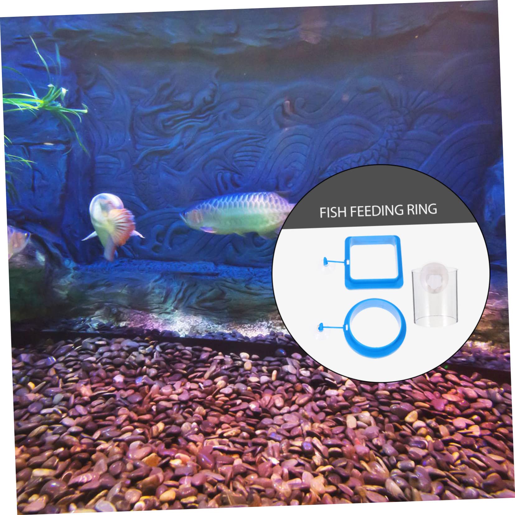 HAPINARY Fish Feeder Ring 3pcs Aquarium Floating Ring for Multiple Betta Fish Tanks