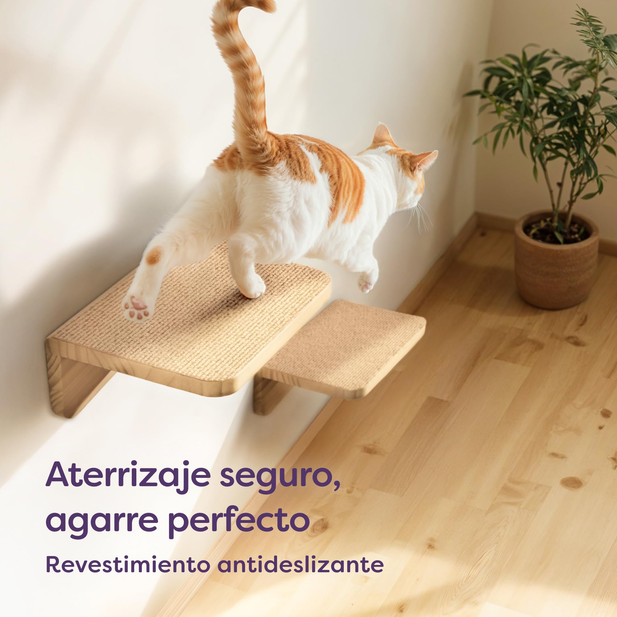 Knupis Estantes de Pared para Gatos con Cama & 2X Escaleras – Madera de Pino Maciza FSC®, Hamaca de Pared Resistente hasta 30 kg – para Juego & Comodidad - Beige