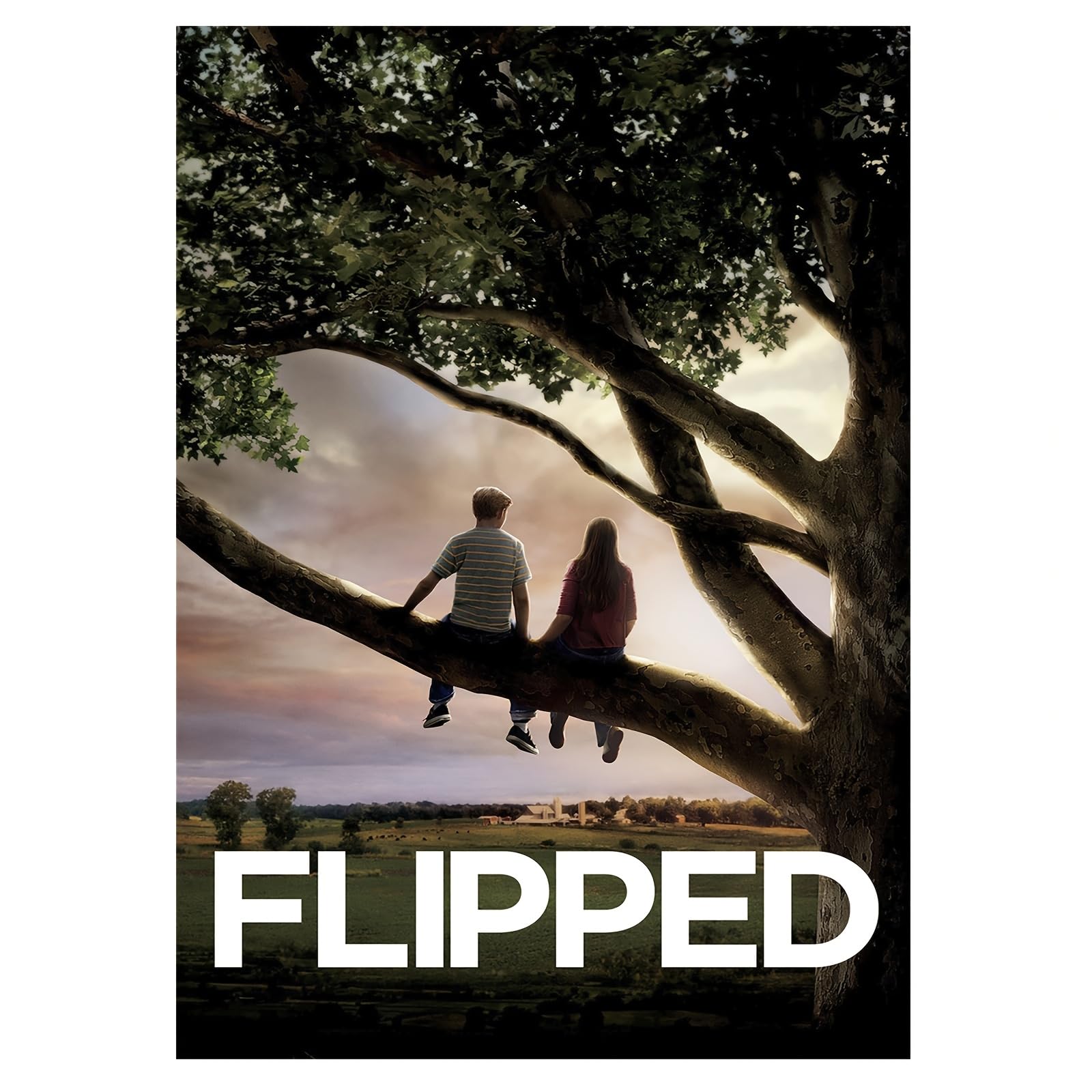 SPXLUCAU 1pc Movie Poster - for Room Decoration And Gifts, Featuring a Boy And Girl Sitting on a Branch in a Romantic Sunset Scene(30x40cm/No frame)