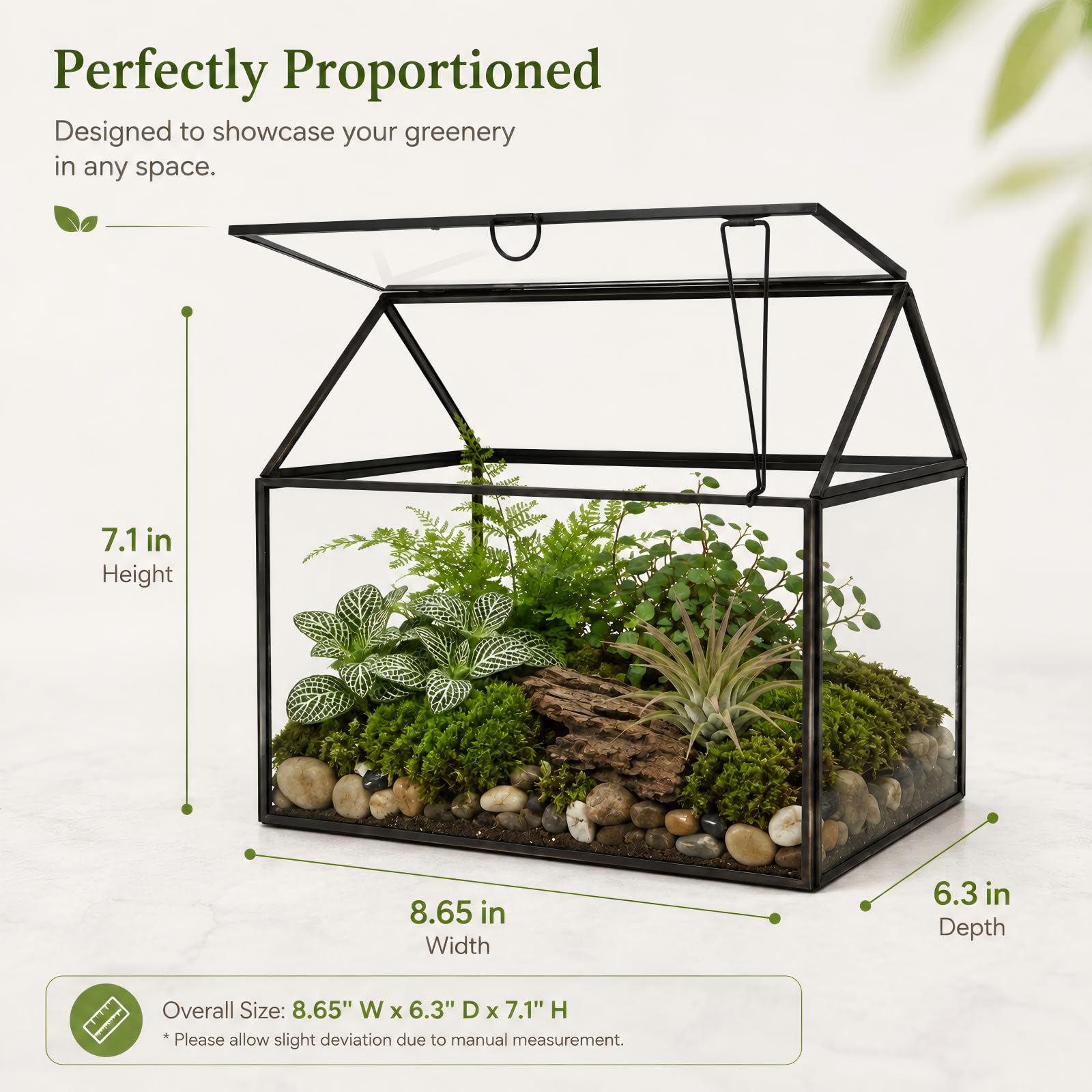 Amazon.co.jp: 大型ガラスプラントテラリウム – ハウス多肉植物ガラス