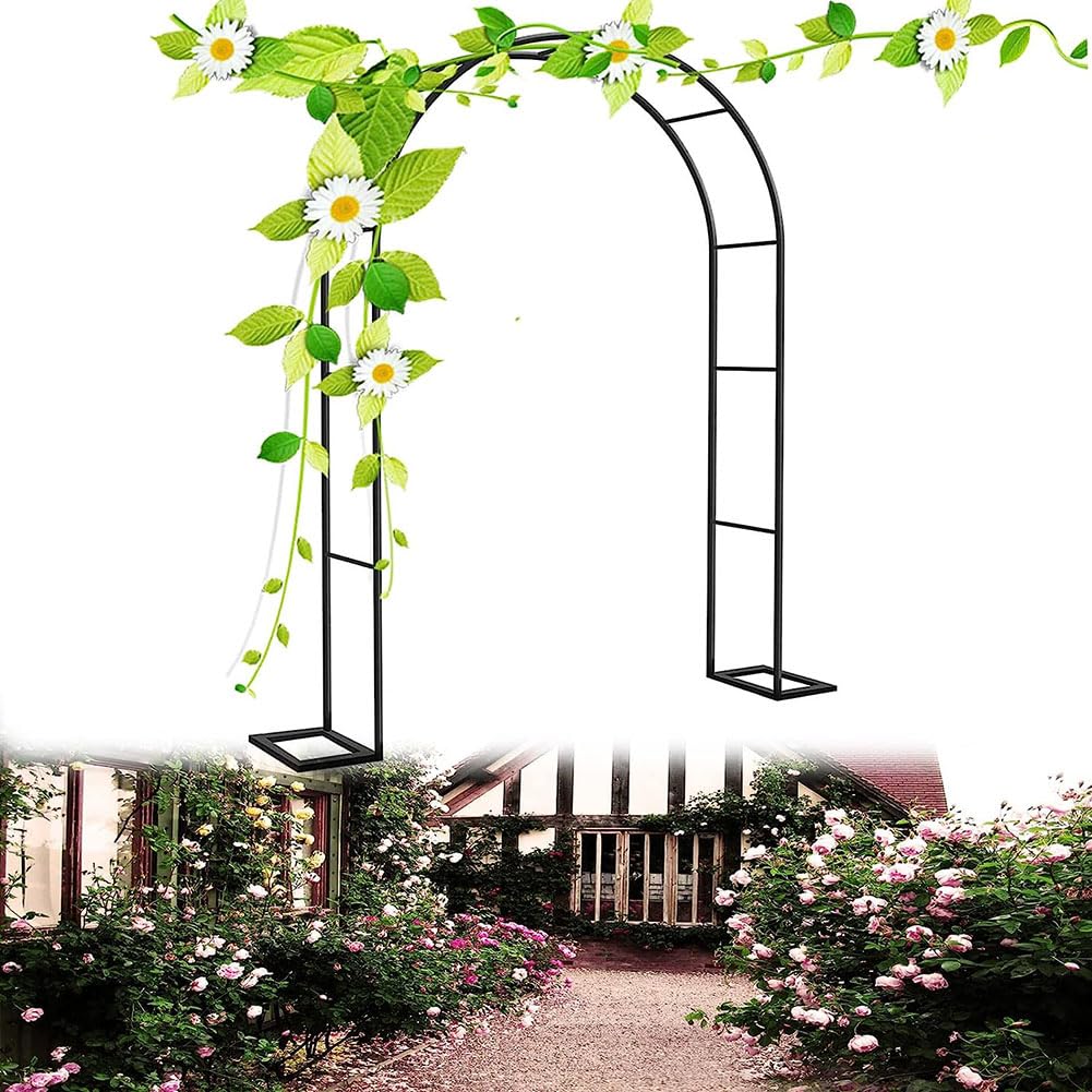 Tonnelle en métal pour plantes décorations de fête et mariage