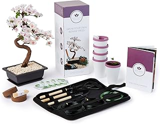 Bonsai Tree Kit with Bonsai Tool Kit - Grow Your own Kits Bonsai Tree Indoor Plant with a Variety of 5 Bonsai Trees Seeds Included and All of The Bonsai Kit Tools You Need (Large Bonsai Kit)
