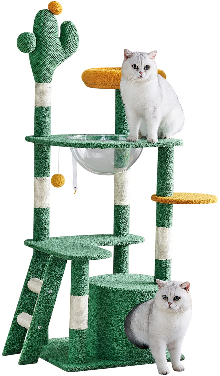 YARUOMY Cactus Cat Tree Large Cat Tower for Indoor Cats?53 Inchs Multi-Level Cat Furniture Condo for Large Cats with Space Capsule Nest?Sisal Covered Scratching Post?Plush Perch, Ladder (53in)
