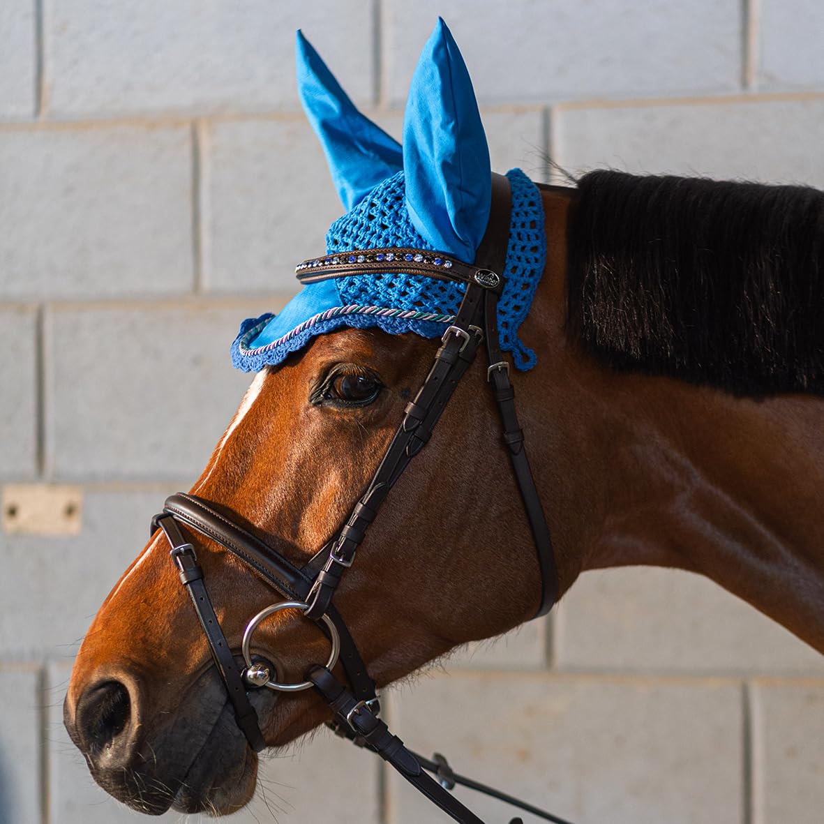 Equivalence Briglia con Redini in Gomma, Frontalino con Cristalli Blu, Nera, Full