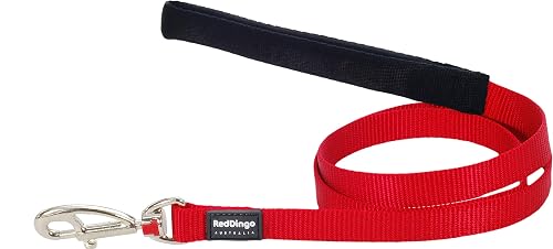 Red Dingo - Correa lisa en color rojo