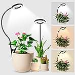 wolezek 2 in 1 Grow Lights for Indoor Plants, 3 Colors Plant Lights for Indoor Growing with 360° Gooseneck, 48 LEDs Full Spectrum Plant Grow Lights Indoor, 6/12/16H Timer, 5 Brightness, Black 2 Pack