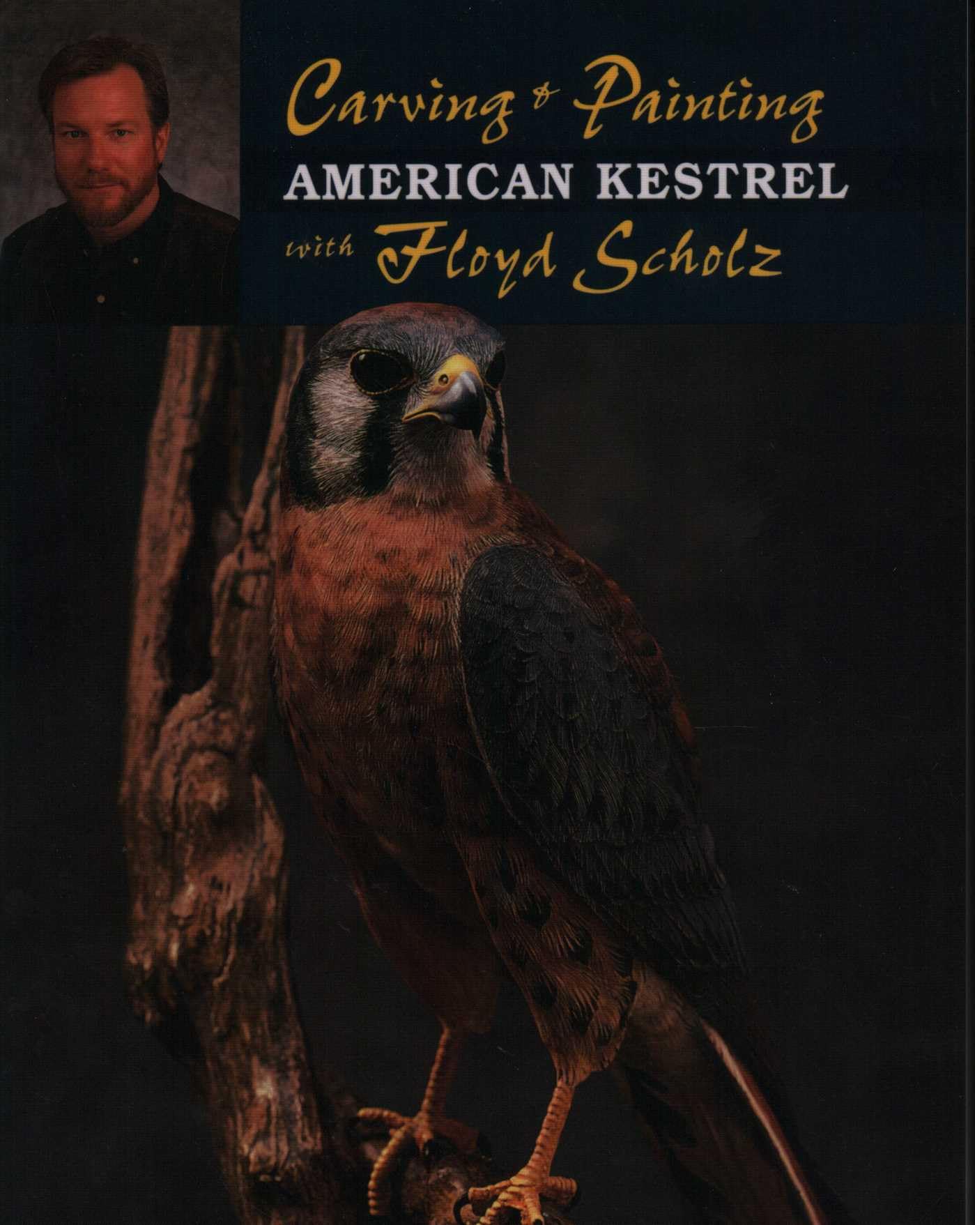 American Kestrel carving Floyd Scholz livre loisir créatif sculpture