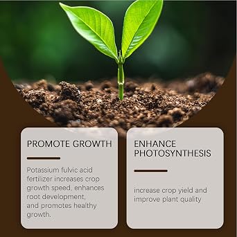 Soil Activator for Plants Natural 60g Multifunctional | House Plant Fertilizer for Germination Root Growth Vegetable Fruit Potted Flowers