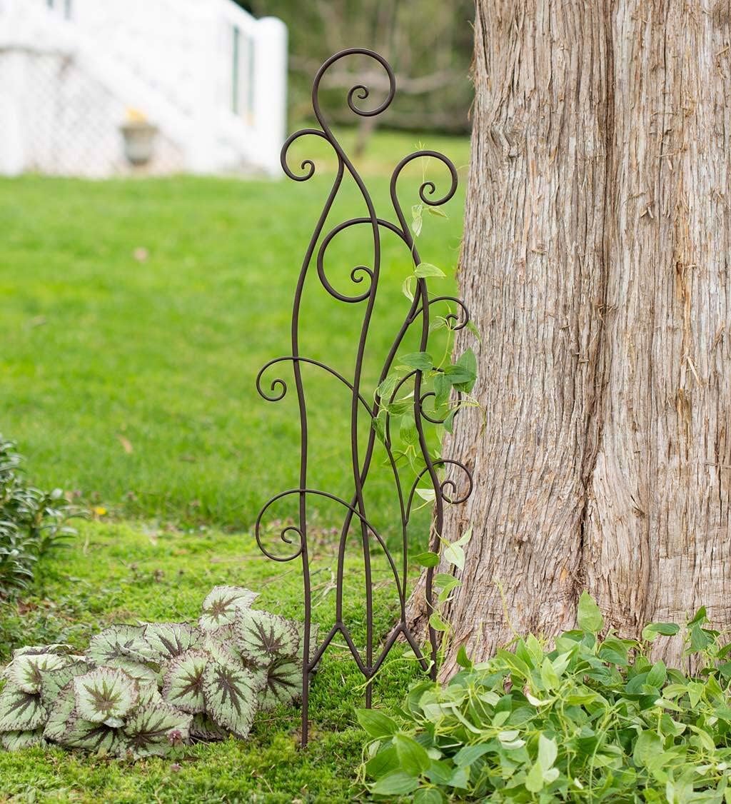 Wind & Weather Swirl Trellis with Metal Spirals 12-Inch Wide by 43-Inch High by 0.75-Inch Deep Garden Trellis with Beautiful Scrollwork Swirls