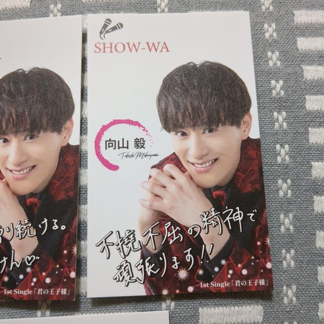 Amazon.co.jp: SHOW－WA 向山毅 名刺セット : おもちゃ