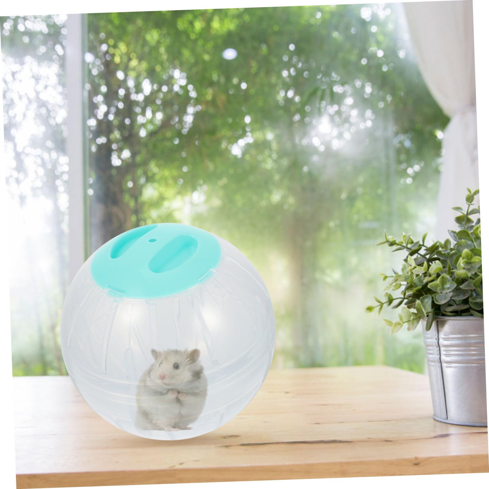 2sets Lustiges Haustierspielzeug Hamster Laufen Joggen Mäuse Übungsspielzeug Kompakt Und Leicht Für Hamster 2 Stücke * 2