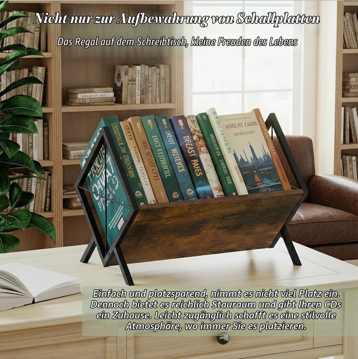 Schallplatten Aufbewahrung,cd Regal,schallplatten Regal Schallplattenständer&Vinyl Halter bücherregal klein für bis zu 80 LPs–CD & Buch Organizer–Schreibtisch Regal für Bücher, Magazine